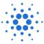 ADA icon