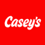 CASY icon