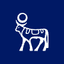 NVO icon