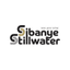 SBSW icon