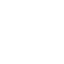 Z icon